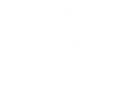 Grupo Anyla Inversiones